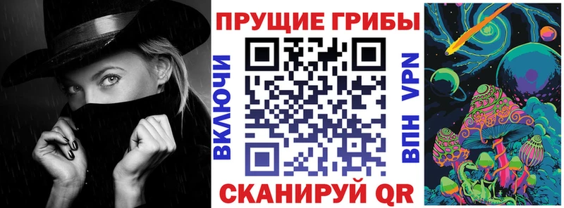 OMG маркетплейс  Апрелевка  Галлюциногенные грибы Psilocybine cubensis 